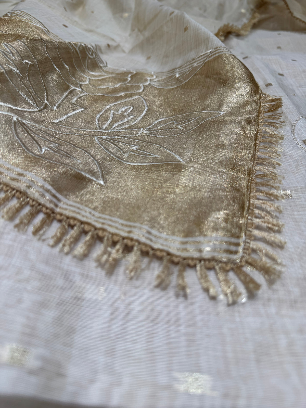 Beige Jamdani Patola suit